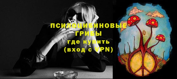 каннабис Майский