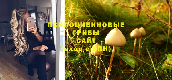 каннабис Майский