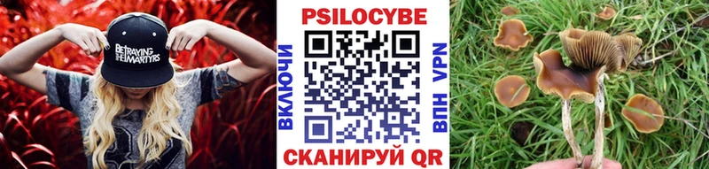 купить наркоту  KRAKEN ТОР  Псилоцибиновые грибы ЛСД  Нефтекумск 
