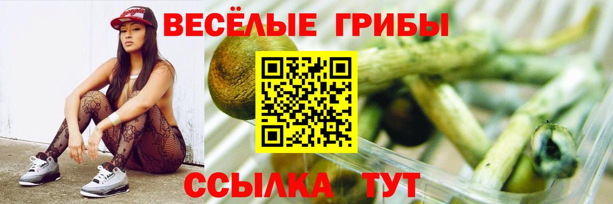 Псилоцибиновые грибы Psilocybe  Нефтекумск 