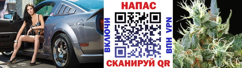 Каннабис планчик  MEGA ссылка  Нефтекумск  закладки 